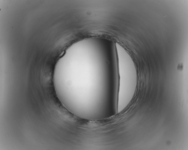 X0000092210608200709140903