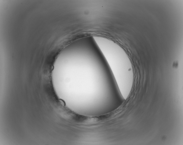 X0000092210609200709140903