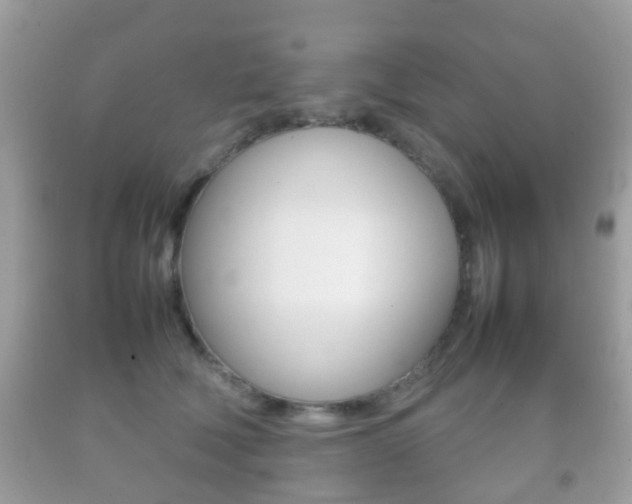 X0000092210610200709140903