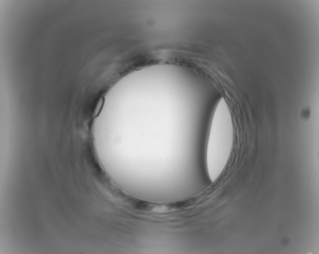 X0000092210611200709140903