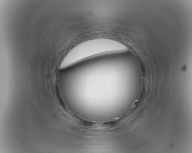 X0000092210613200709140903