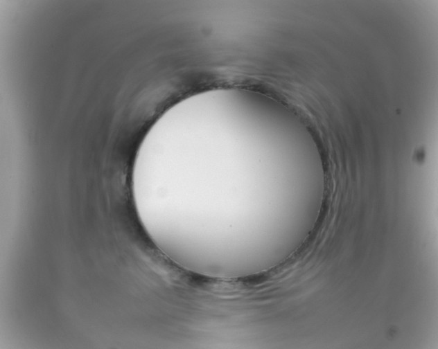 X0000092210615200709140903
