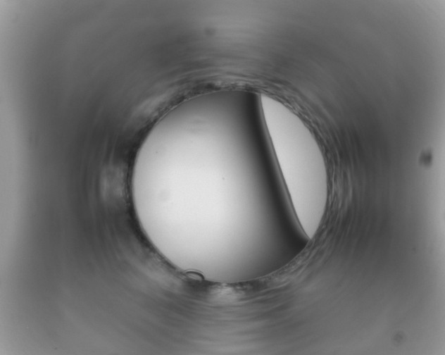 X0000092210616200709140903