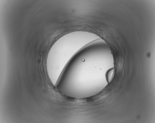 X0000092210619200709140903