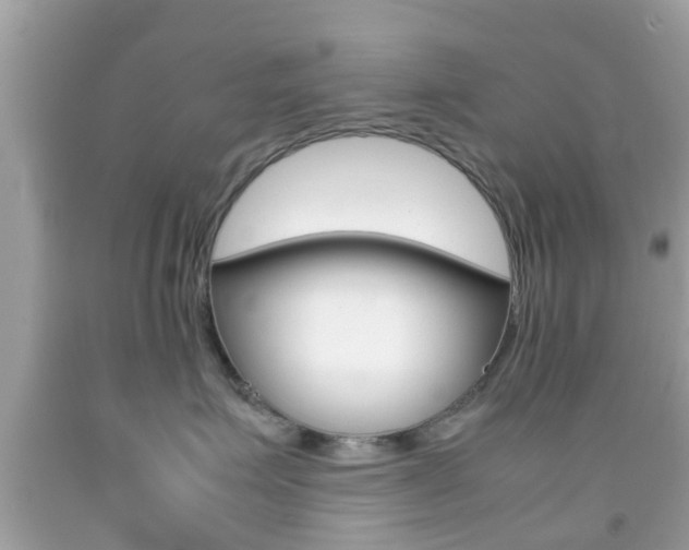 X0000092210623200709140903
