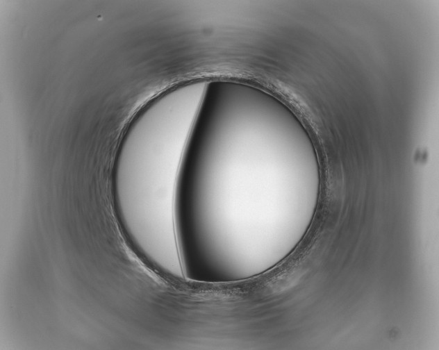 X0000092210625200709140902