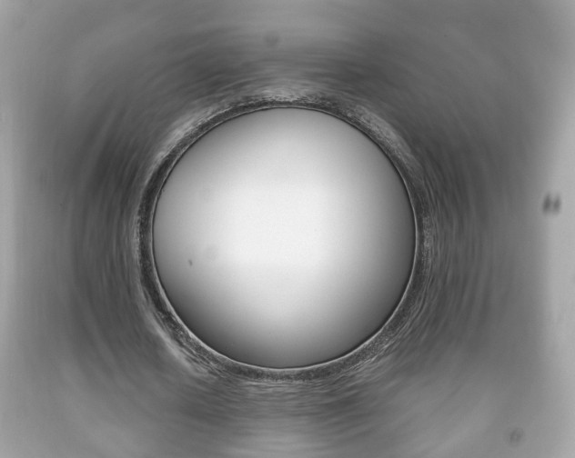 X0000092210626200709140902