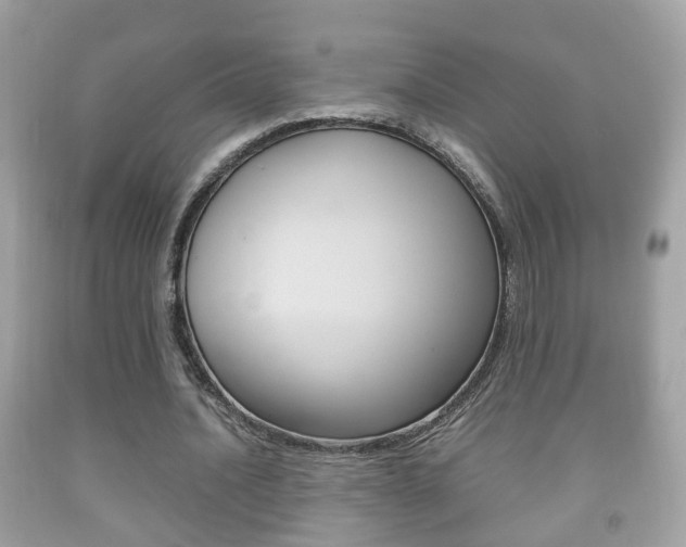 X0000092210628200709140902