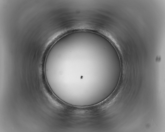 X0000092210629200709140902