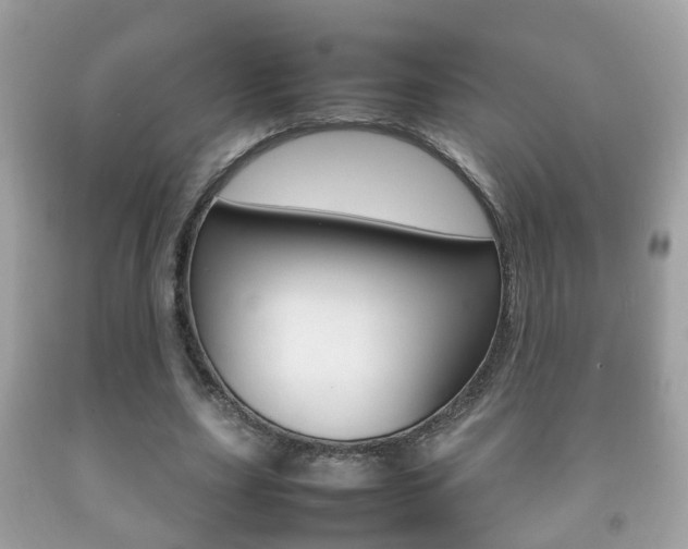 X0000092210631200709140902