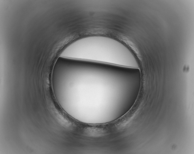 X0000092210633200709140902
