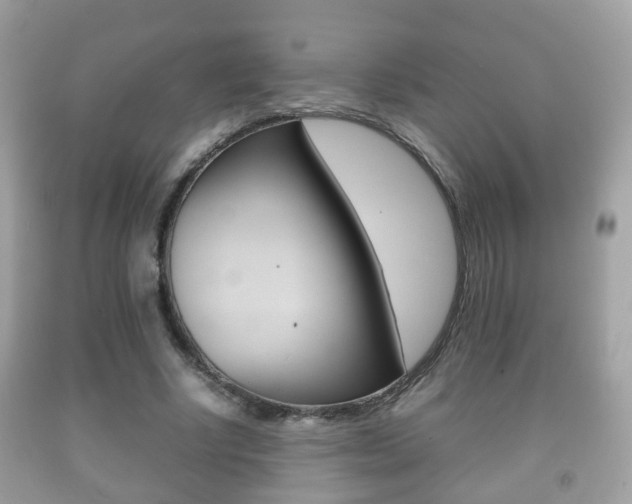 X0000092210634200709140902