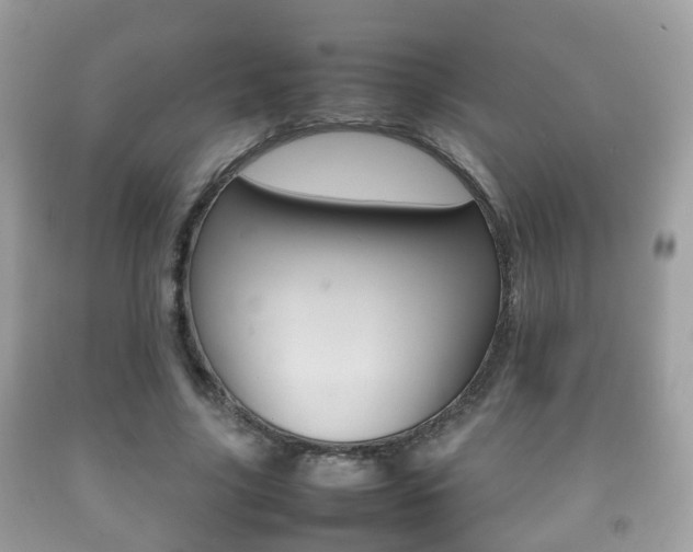 X0000092210635200709140902