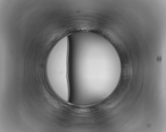 X0000092210639200709140902