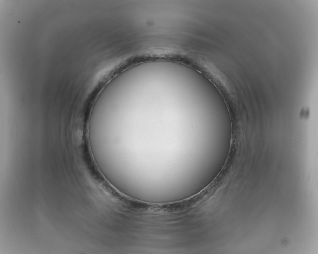X0000092210640200709140902