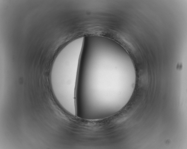 X0000092210641200709140902