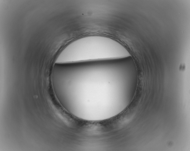 X0000092210642200709140902