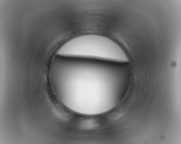 X0000092210643200709140902