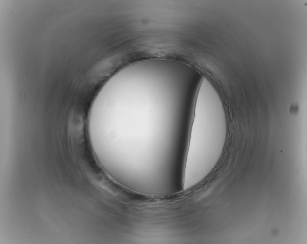 X0000092210646200709140902
