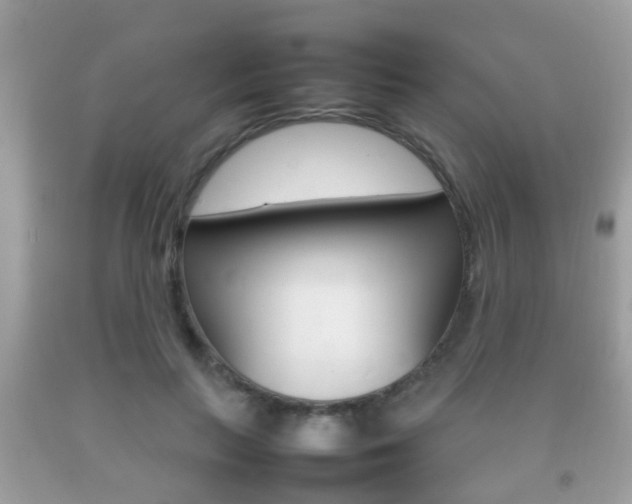 X0000092210647200709140902