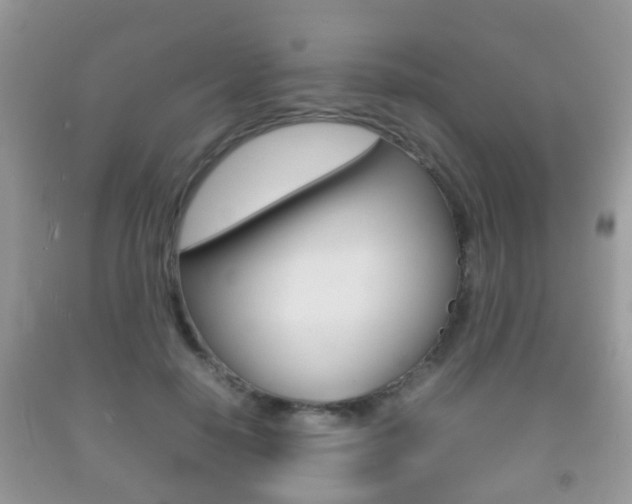 X0000092210650200709140902