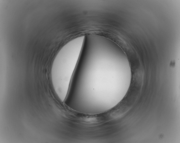 X0000092210651200709140902