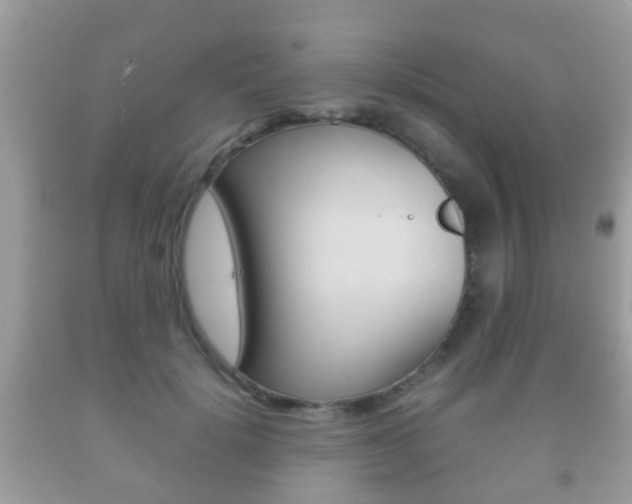 X0000092210652200709140902