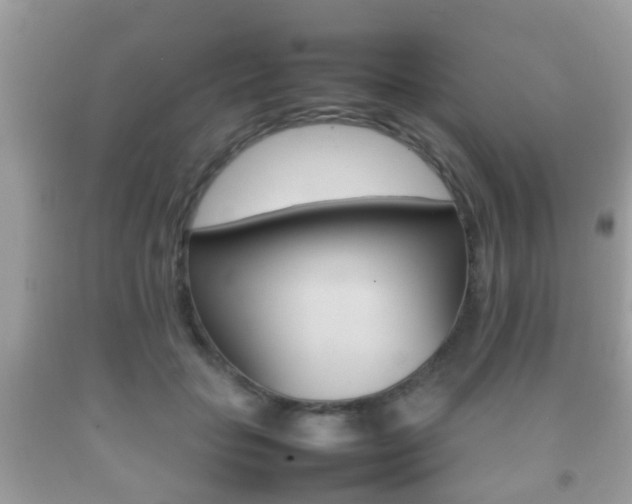 X0000092210653200709140902