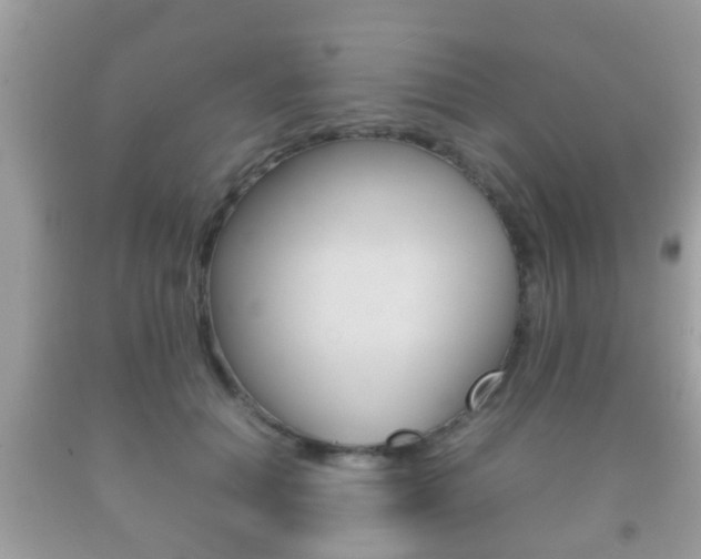 X0000092210654200709140902