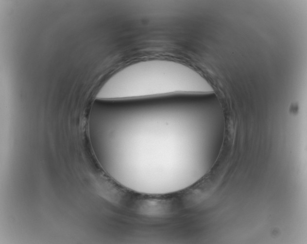 X0000092210657200709140902