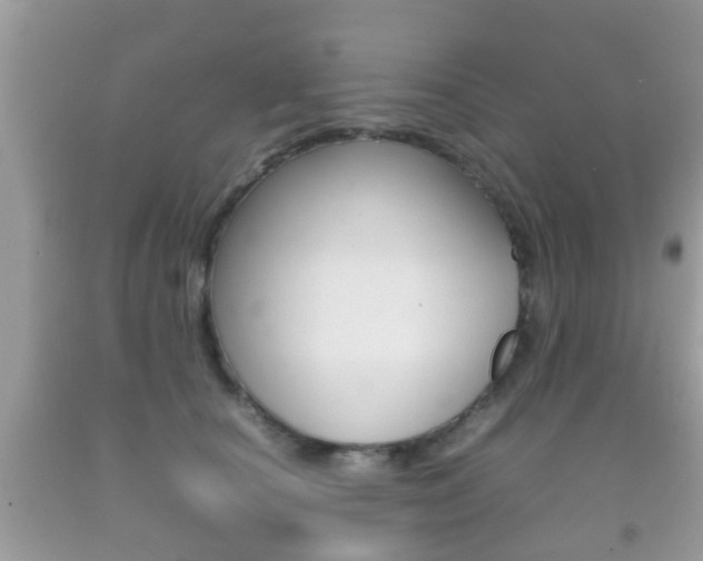 X0000092210660200709140902