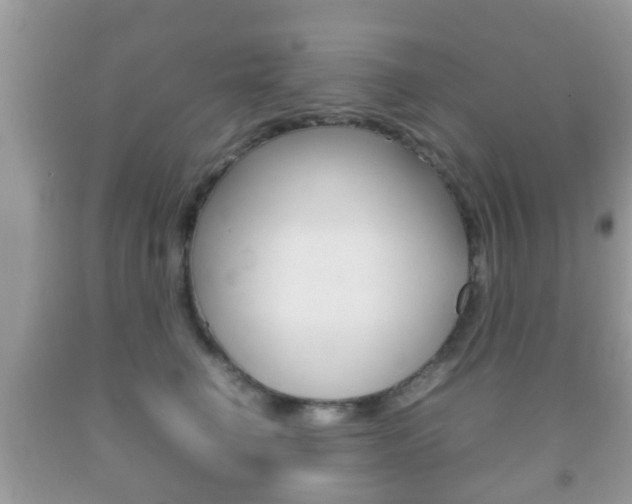 X0000092210662200709140902