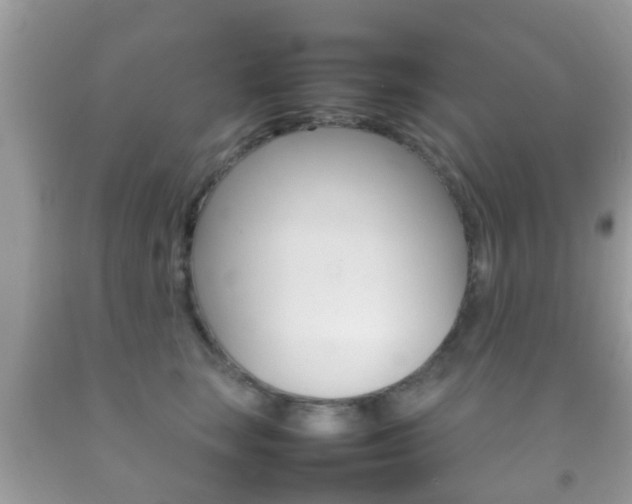 X0000092210663200709140902