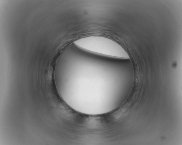 X0000092210664200709140902