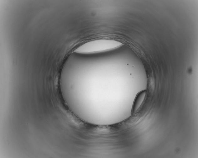 X0000092210668200709140903
