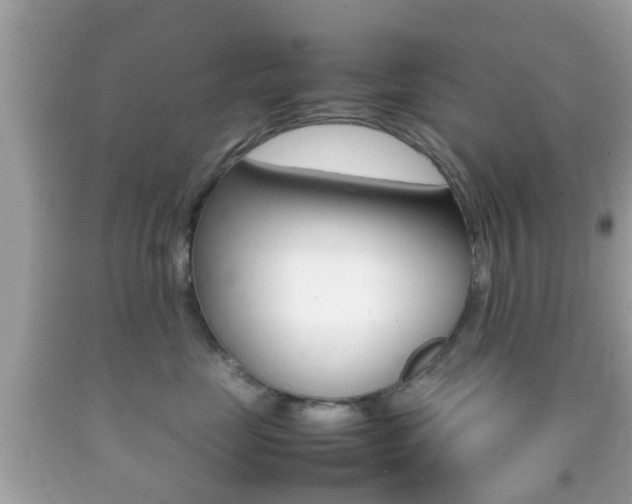 X0000092210669200709140903