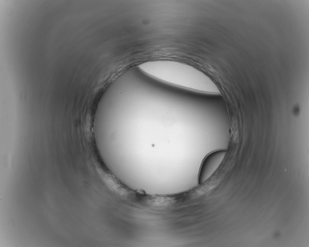 X0000092210670200709140903