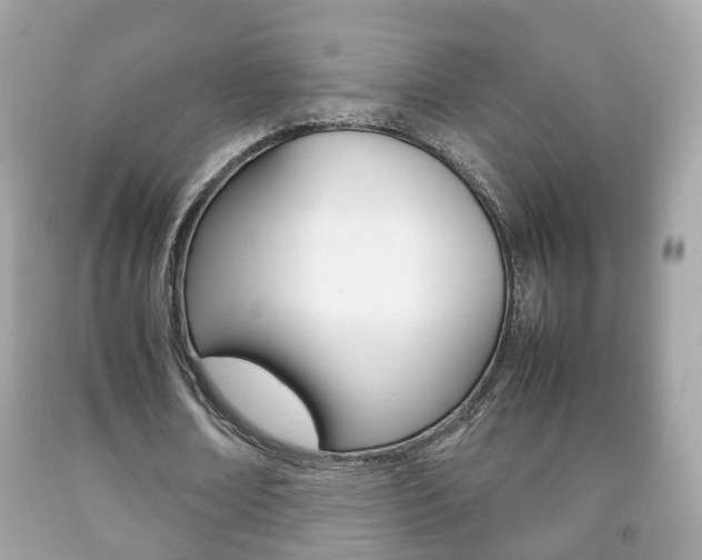X0000092210674200709140902