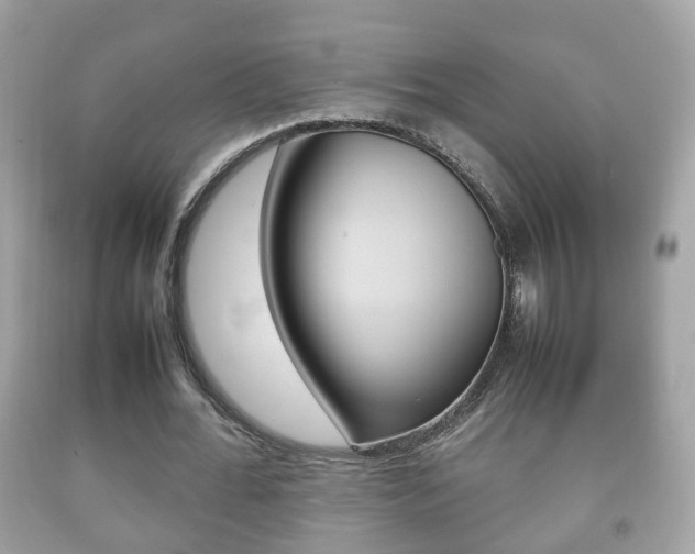 X0000092210676200709140902