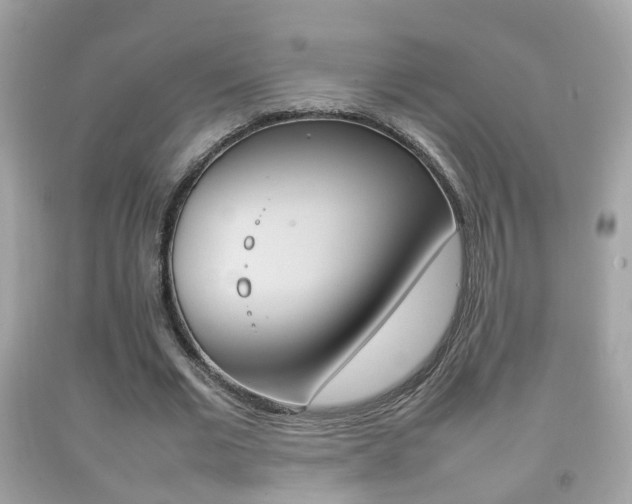 X0000092210677200709140902