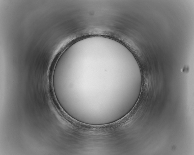 X0000092210678200709140902