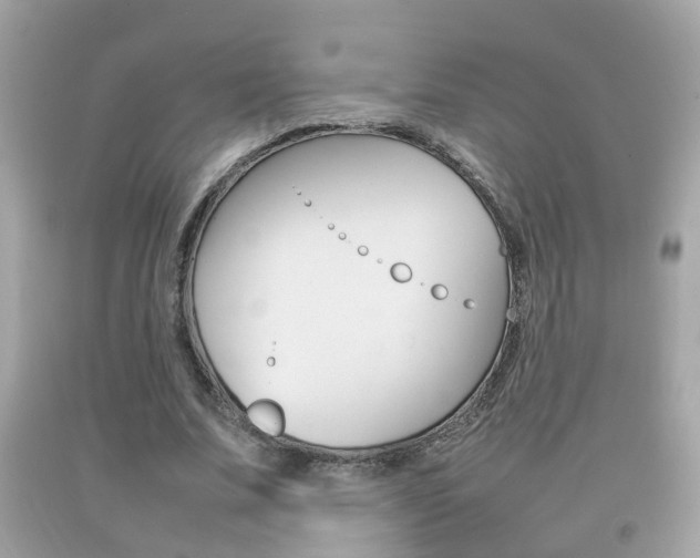 X0000092210679200709140902