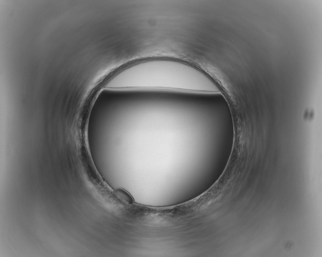 X0000092210680200709140902