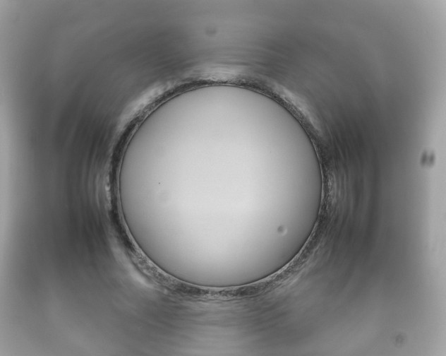 X0000092210682200709140902