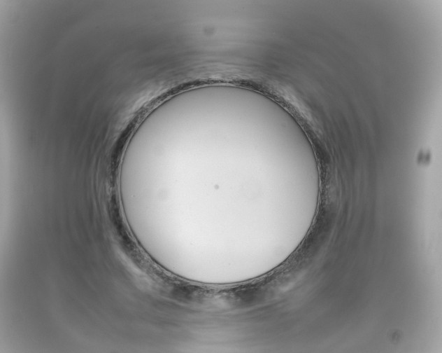 X0000092210683200709140902