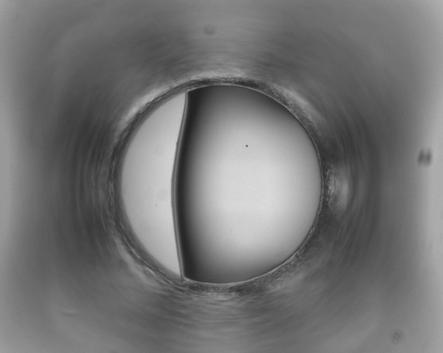 X0000092210684200709140902