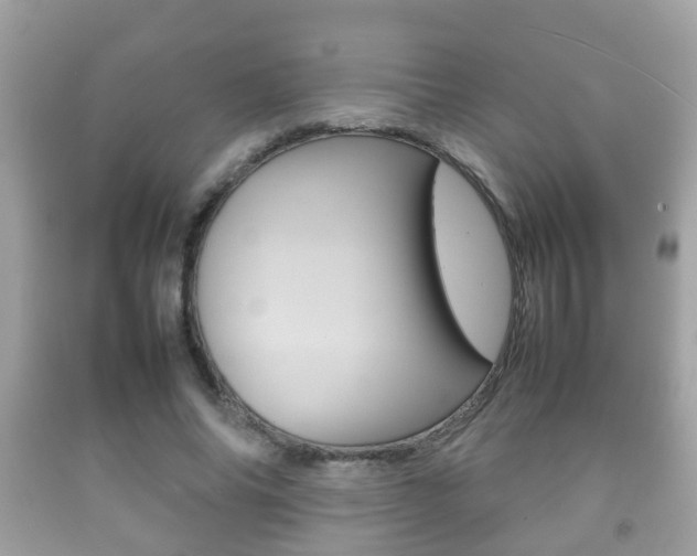 X0000092210686200709140902