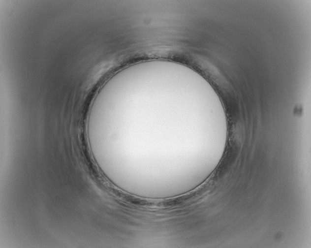X0000092210687200709140902