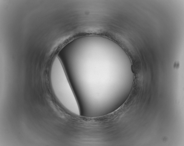 X0000092210688200709140902