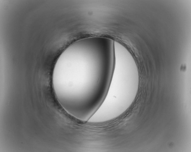 X0000092210689200709140902